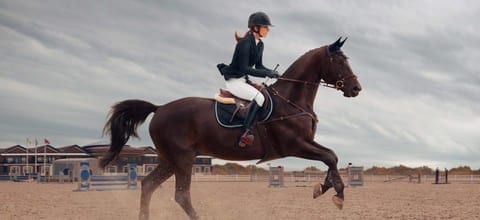 Assurance de prêt immobilier et équitation