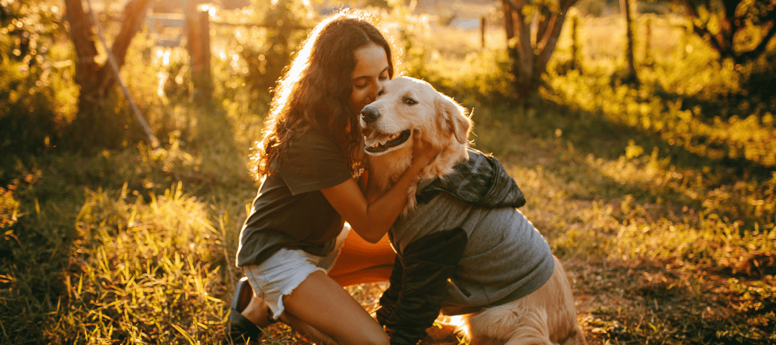 Assurance chien sans carence : comment être couvert immédiatement ?